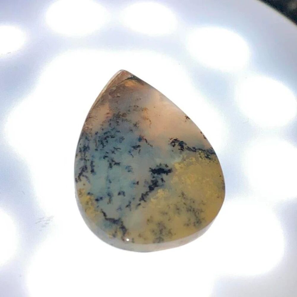 Dendritic agate